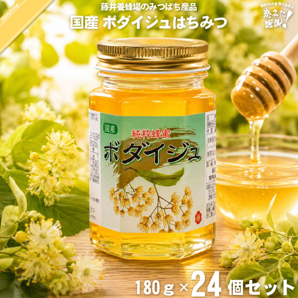 【24個セット】 国産ボダイジュはちみつ 瓶入 （180g） 【クーポン配布中】 藤井養蜂場 藤井 フジイ ふじい 国産蜂蜜 国産ハチミツ ぼだいじゅ 菩提樹 ハニー 送料込【送料無料】