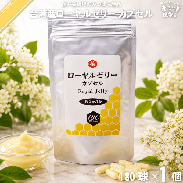 文芸批評忍従で引き換え証差し上げ物♪