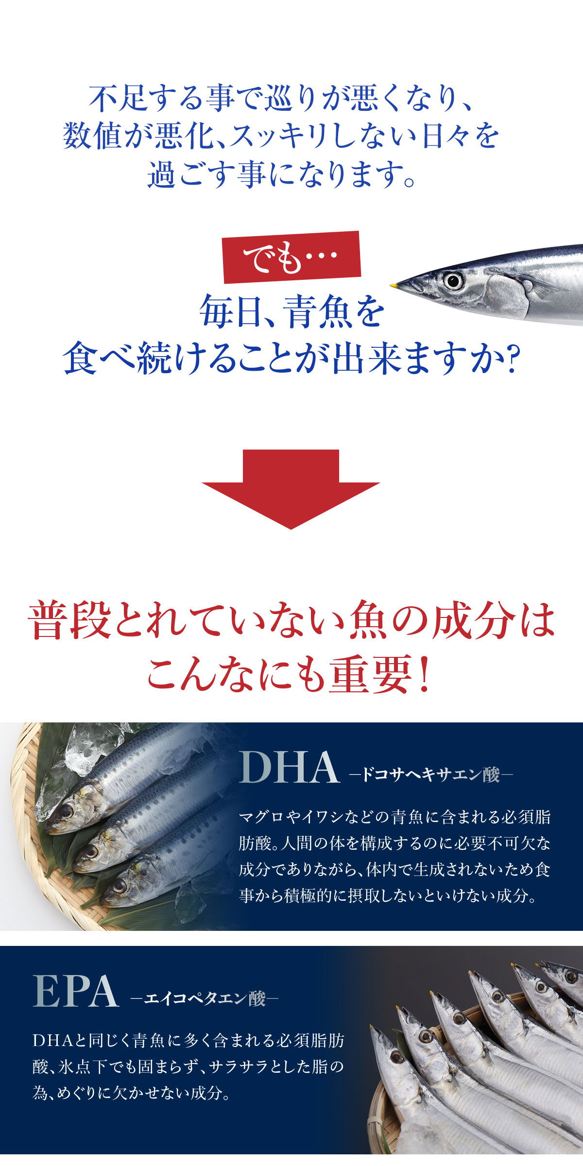 楽天市場 Dha Epaオメガプラス Dha Epa含有食品 480mg 1球 楽天専用商品 みやび楽天市場店