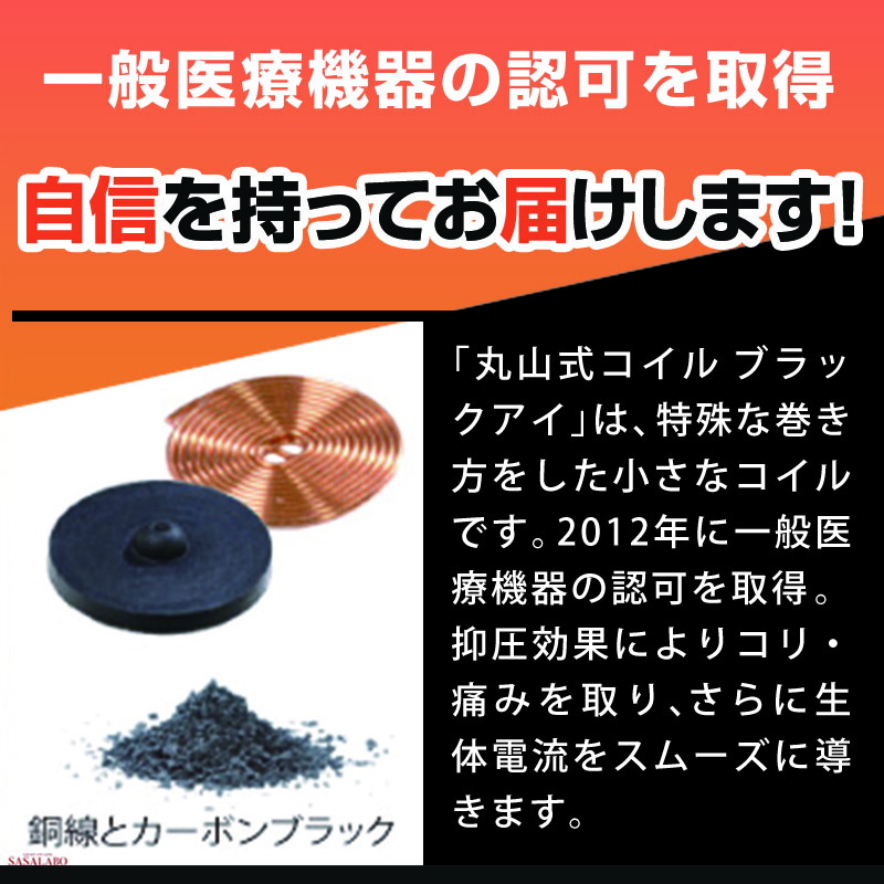 注目 丸山式コイル ブラックアイ 6個入 電磁波対策 グッズ 電磁波防止