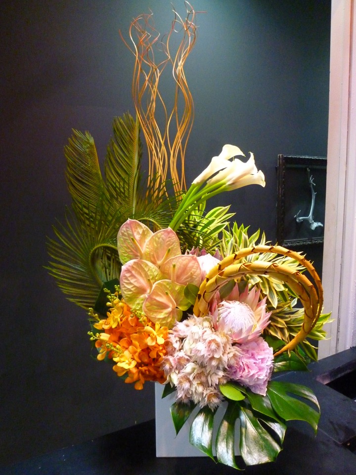 アレンジメント ソテツ キングプロテア セルリア 夏 プレゼント 御祝 Giet Edu