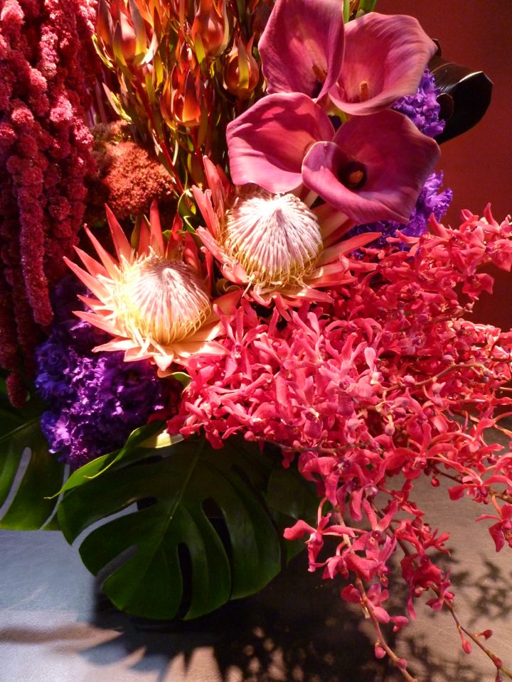 キングプロテア 外観 オンシジューム ストレチア アマランサス Marchesoni Com Br