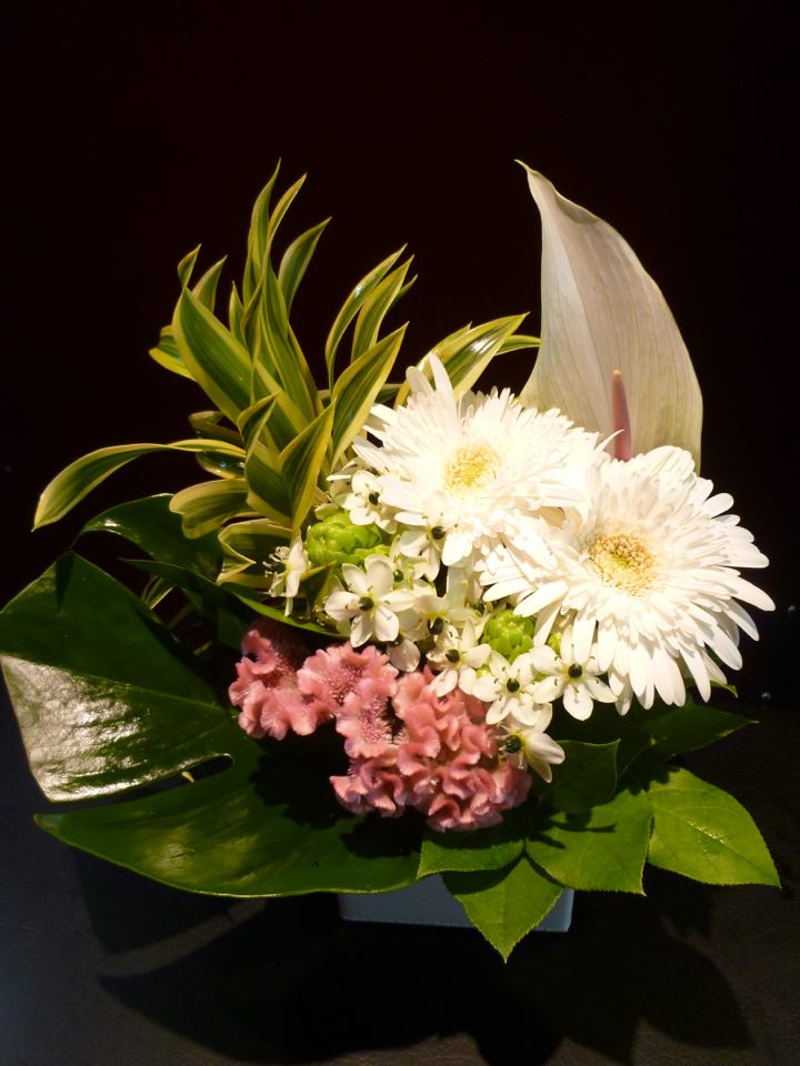 ガーベラ オーニソガラム サンデルシー アンスリューム ケイトウ ドラセナ モンステラ Crunchusers Com