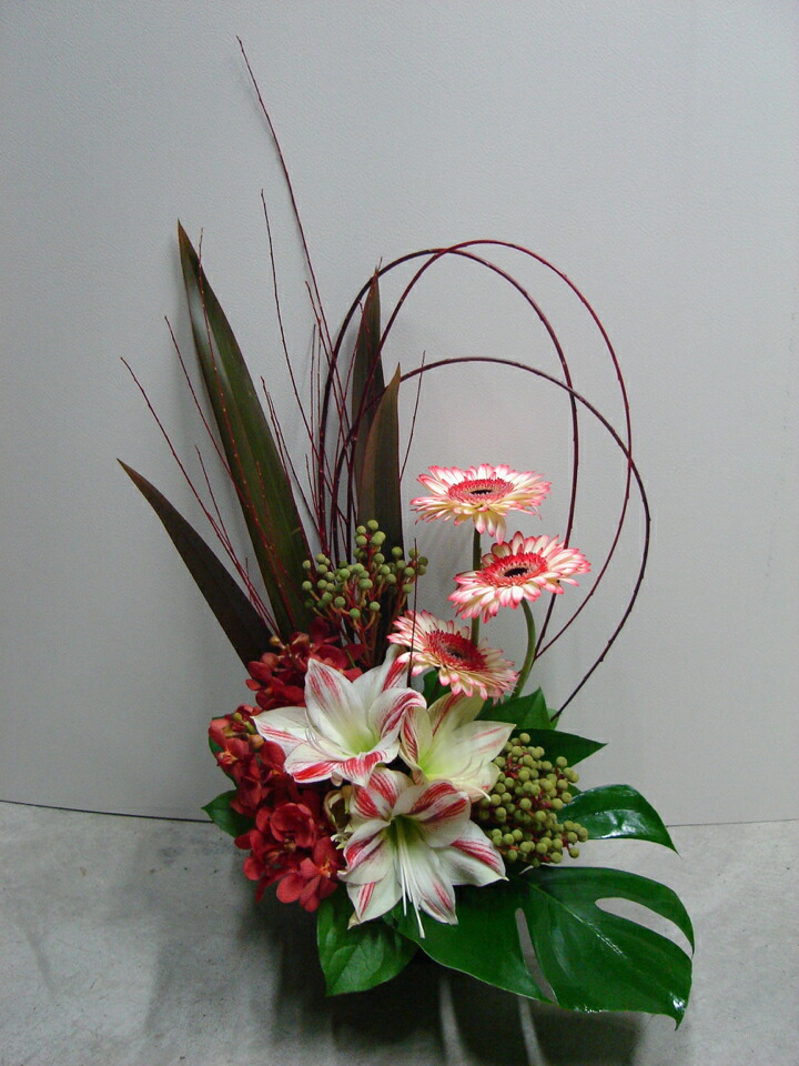 楽天市場 アレンジメント アマリリス ガーベラ バーゼリア モカラ ニューサイラン モンステラ レッドウィロー Mobbs