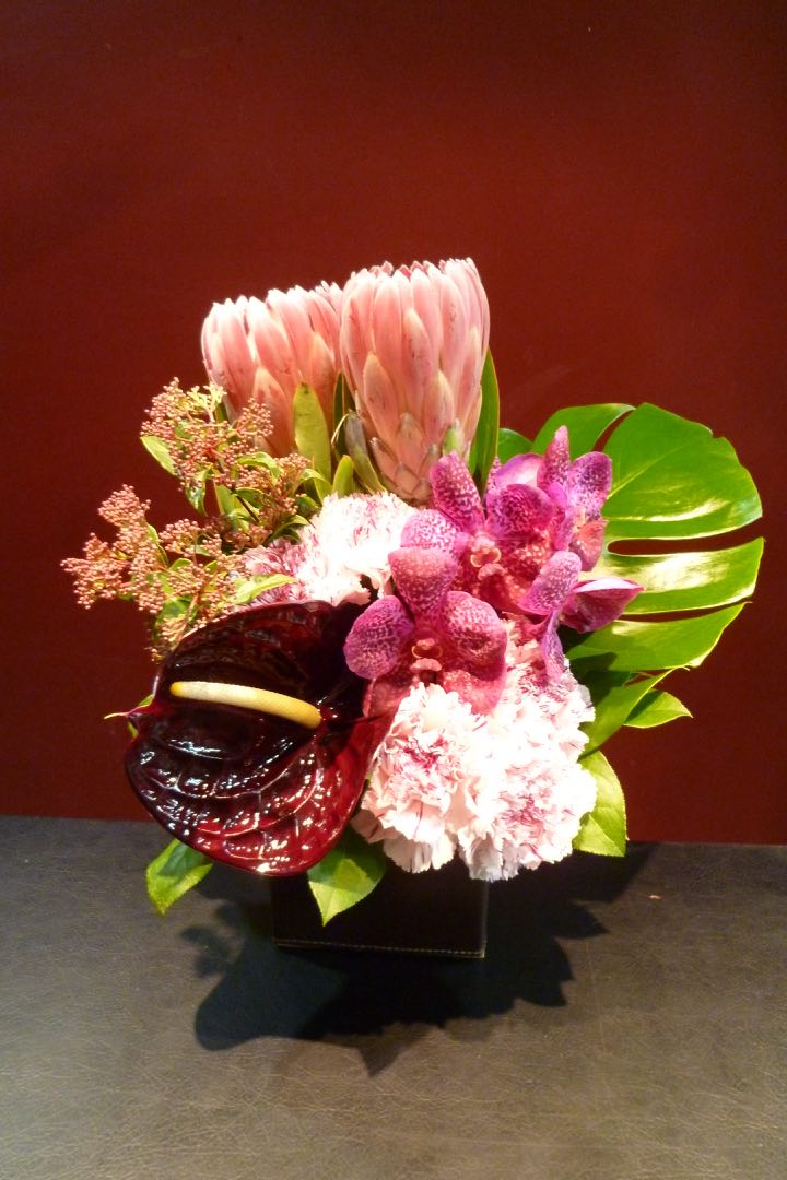 敬老の日 バンダ プロテア 珍しい花 アレンジメント Flower 花 観葉植物 アンスリューム Pink アンスリューム モンステラ Mobbs 蘭 バンダ カーネーション 敬老の日 バンダ プロテア 珍しい花 アレンジメント Flower 花 観葉植物 アンスリューム Pink アンスリューム モンステラ Mobbs 蘭 バンダ カーネーション