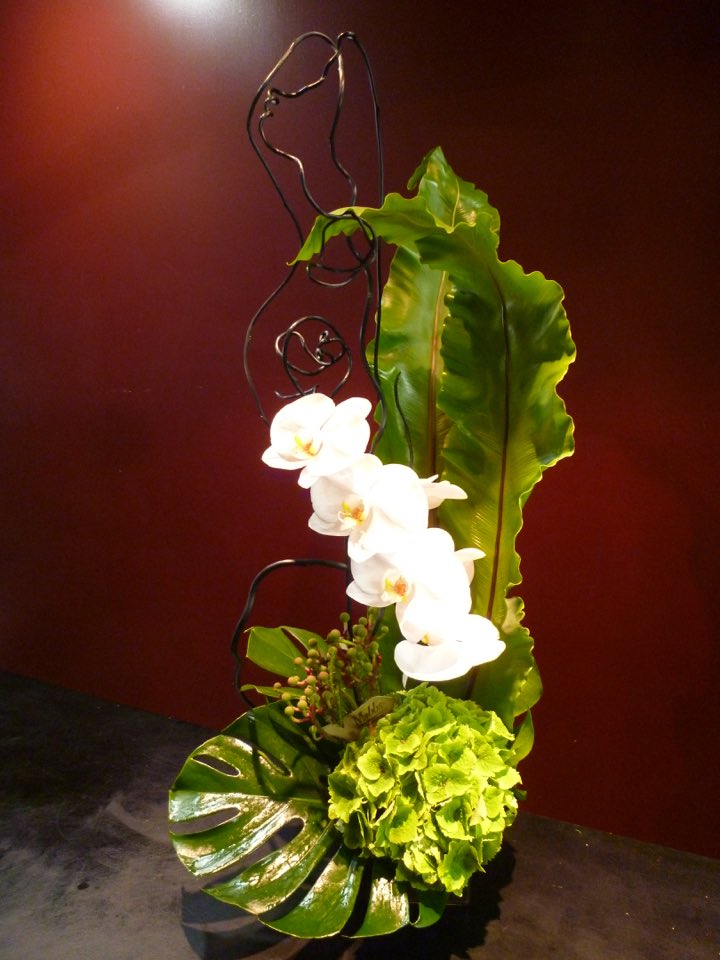 激安特価 楽天市場 アレンジメント 胡蝶蘭 コチョウラン アジサイ バーセリア タニワタリ モンステラ Mobbs 正規激安 Asynat Com