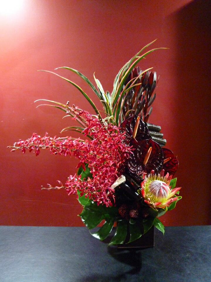 インパクト 還暦祝 アレンジメント フラワーアレンジメント アレンジメント お見舞 花 観葉植物 出産祝 赤 個性的 蘭 アレンジメント 蘭 移転 祝 快気祝 オンシジューム キングプロテア スキミアアンスリューム ドラセナ モンステラ Mobbs インパクト 還暦祝 アレンジメント フラワーアレンジメント アレンジメント お見舞 花 観葉植物 出産祝 赤 個性的 蘭 アレンジメント 蘭 移転 祝 快気祝 オンシジューム キングプロテア スキミアアンスリューム ドラセナ モンステラ Mobbs
