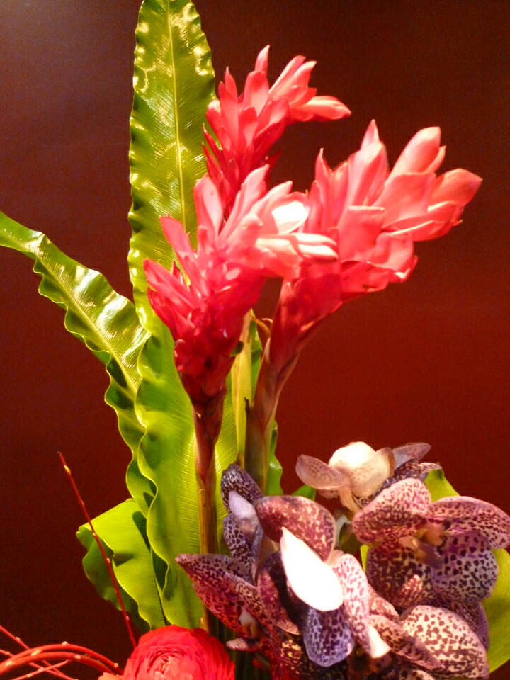 アレンジメント ジンジャー 蘭 バンダ アマリリス ラナンキュラスカーネーション モンステラ レッドウィロー Marcsdesign Com