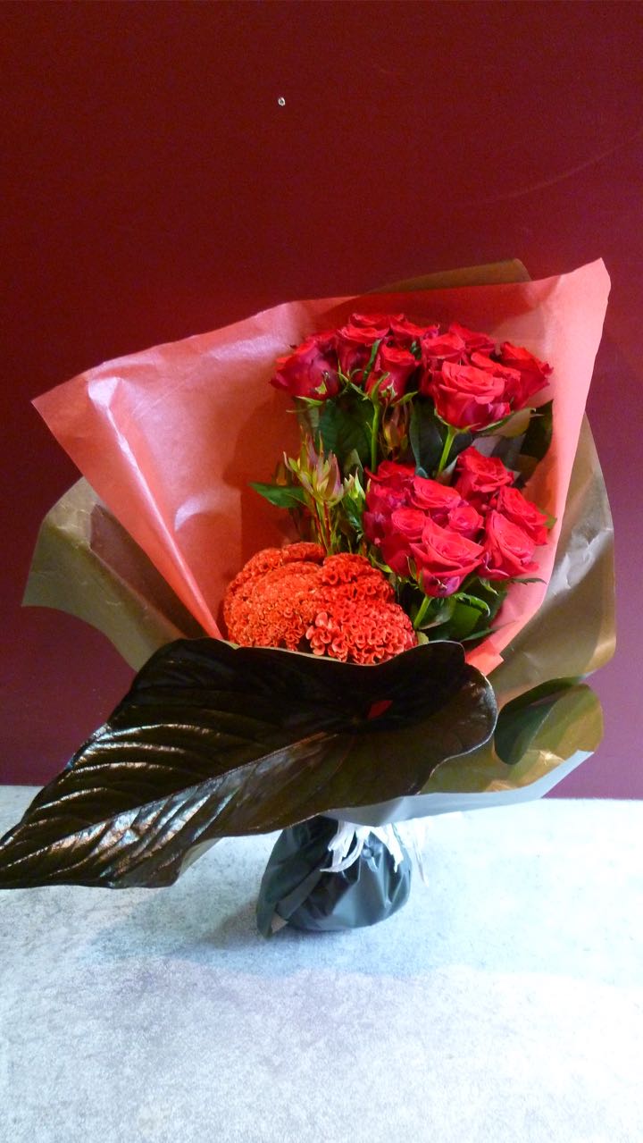 チャンバーレイニアナム Mobbs 赤バラ 売れ筋がひ の 赤バラ モブス アンスリュームの葉 誕生日 贈答 花 観葉植物 Mobbs ケイトウ ケイトウ アンスリュームの葉