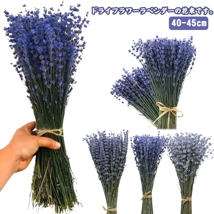 楽天市場】ラベンダー ドライフラワー 花束 ミニ 富良野ラベンダー