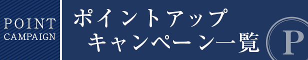 楽天市場】ヴィクシア インナーマスクダブルタイプ（紺） ＭサイズVIXIA【ミツボシ 剣道】 : 武道ムサシ