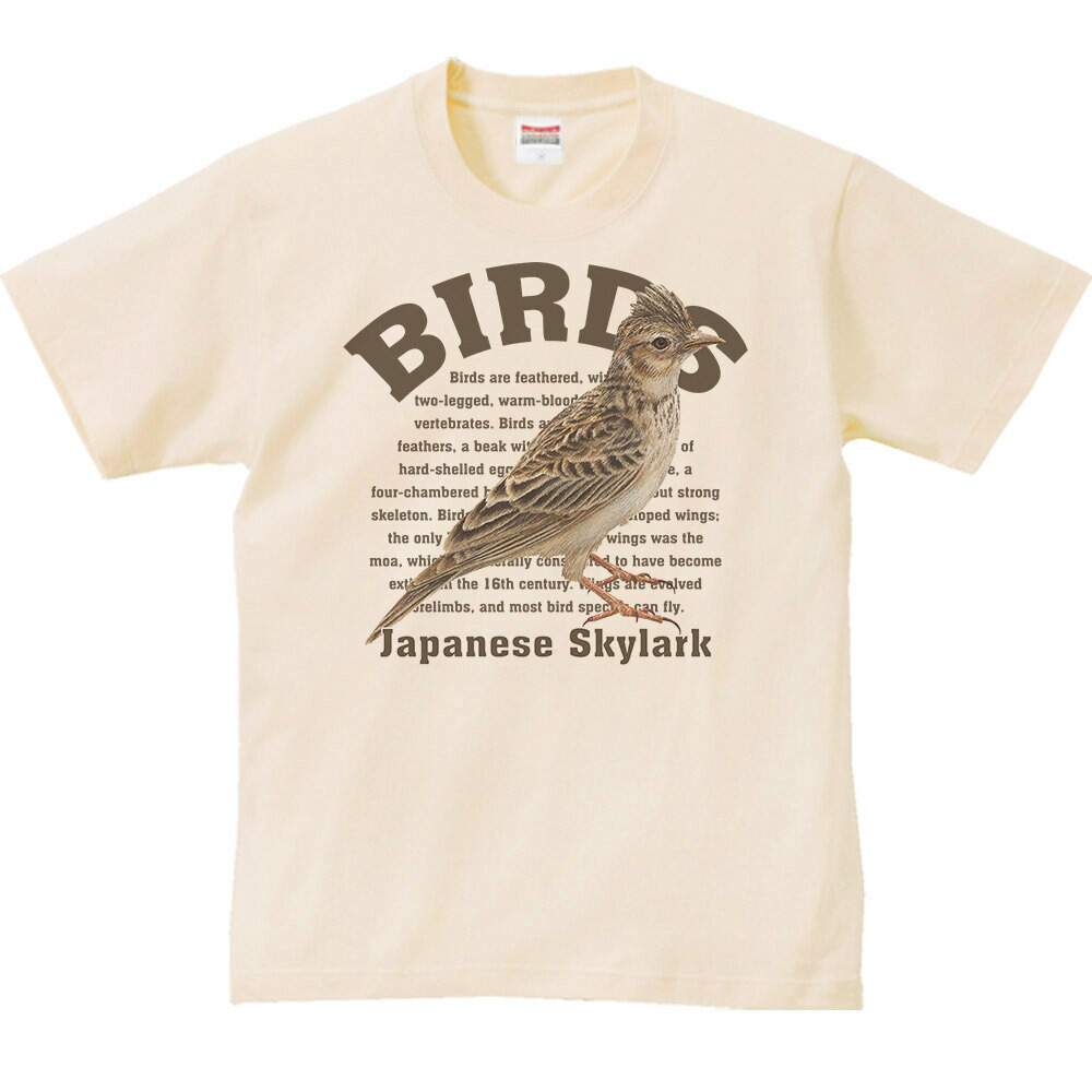 新品・未使用♡ misha&puff バード柄 鳥柄 Tシャツ ♡ レディースTシャツ 小鳥ガーデン 受注製作 送料無料 – 小鳥雑貨