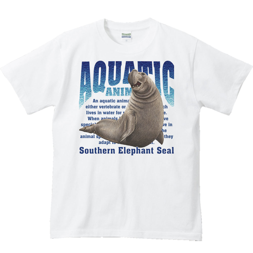 楽天市場】ミナミ ゾウアザラシ（水棲生物シリーズ