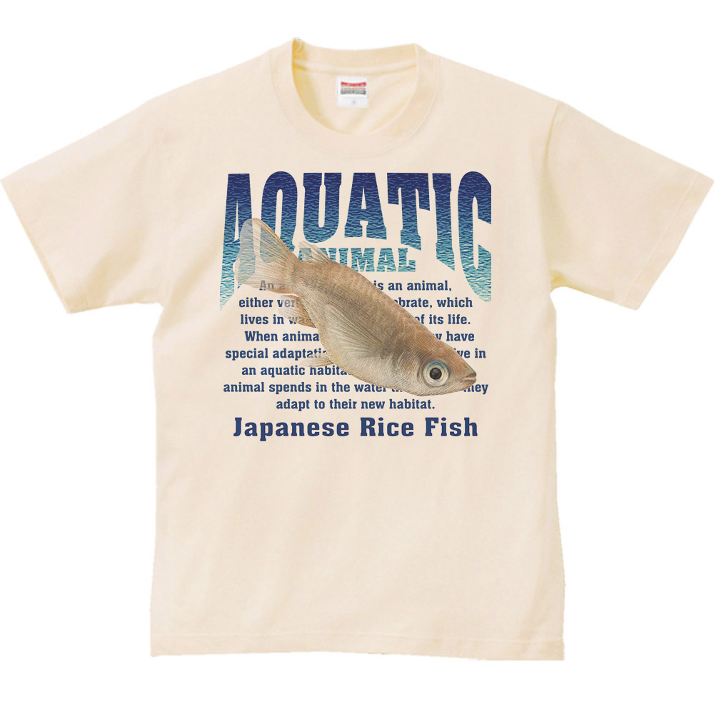 メダカです。 レオナール　Ｖトップス　美品 レオナール Vトップス 美品