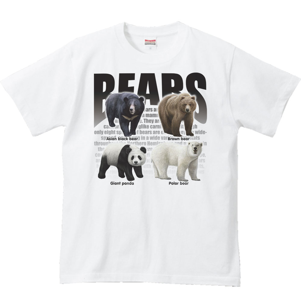 [新品未開封]ZOOTEEヒグマ柄Tシャツ 246_1.jpg