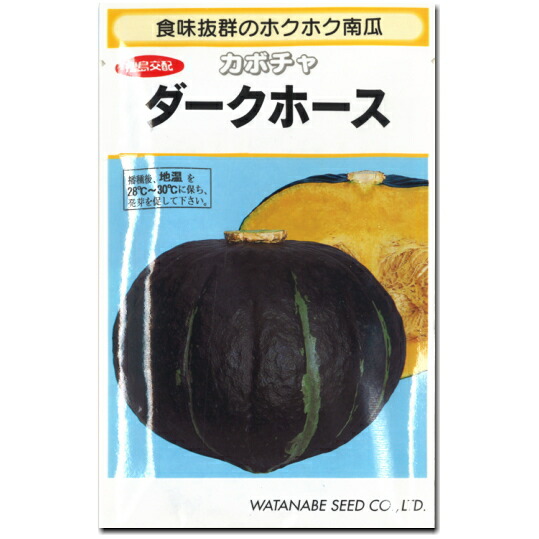 楽天市場 カボチャ 南瓜 種子 ダークホース 100粒 かぼちゃ なえ屋