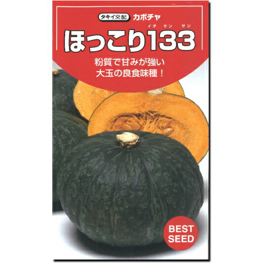 楽天市場 カボチャ 南瓜 種子 ほっこり１３３ 10粒 かぼちゃ なえ屋