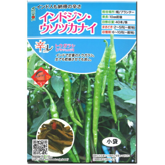 トウガラシ ビキーニョ イエロー種子 3g入り（約1000粒） 中原採種場 トウガラシ種子 黄とうがらし【取り寄せ注文】【2026年春種