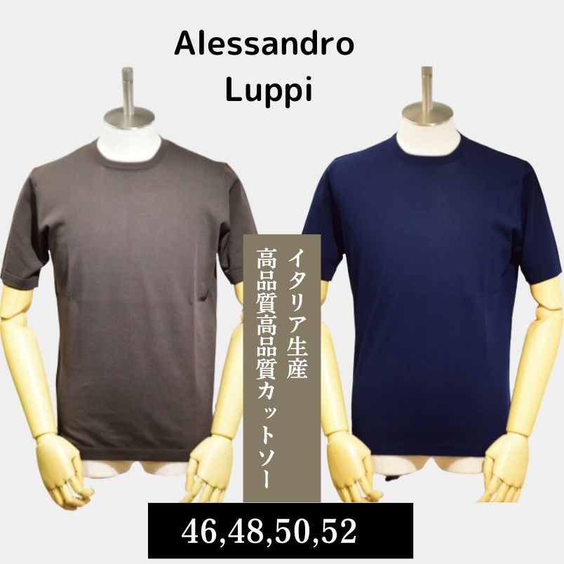 アレッサンドロ ルッピ Alessandro Luppi ニット メンズ 春夏 オシャレ カジュアル ビジネス クルーネック ドライコットン ハイゲージ 半袖 ネイビー、ブラウン サイズ46 48 50 52