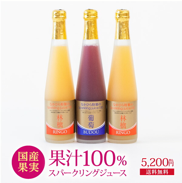 炭酸入り果汁100％ジュース３本セット　ＳＰ3　　　　 果汁100％ 炭酸ジュース ギフト 詰め合わせ プレゼント 贈り物 誕生日 結婚内祝い 出産内祝い 引越し祝い お返し お取り寄せ 法事 おしゃれ 健康 送料無料 のし 熨斗名入れ対応可 なかひら農場 製造直販