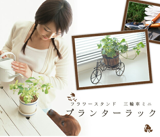 楽天市場 かわいらしいミニ三輪車のフラワーラックでお花をインテリアとして アイアンと天然木のアンティーク風 玄関やお庭などのアクセントに最適です 雑貨 ガーデニング 焼き加工 ガーデン ガーデニング 木製プランター 樽 花 生活雑貨n Style