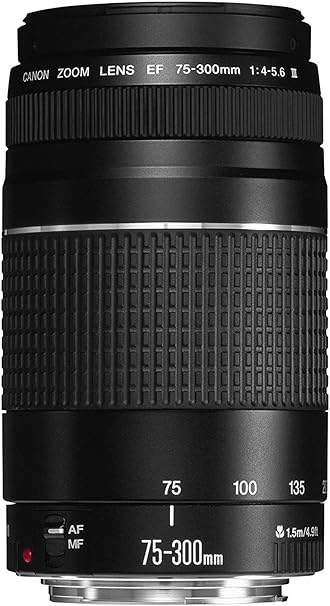 Canon EFレンズ EF75-300mm F4-5.6 IIIズームレンズ 望遠 並行輸入品 黒