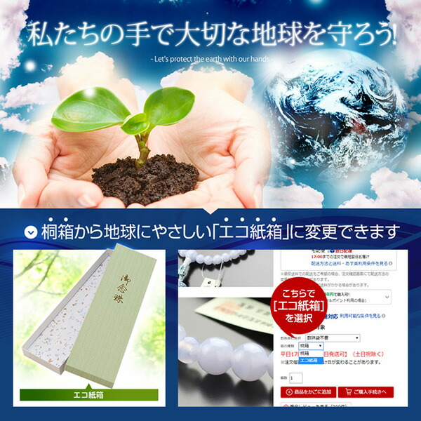 エコ紙箱