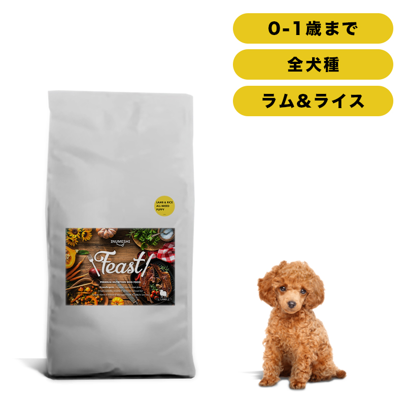 楽天市場】ホリスティックレセピー バリュー チキン＆ライス 成犬用 