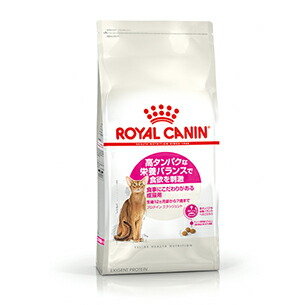 初回限定 楽天市場 ロイヤルカナン キャット プロテイン エクシジェント 10kg Royal Canin 猫用 キャットフード ドライフード 成 猫 送料無料 Inumeshi 100 の保証 Lexusoman Com