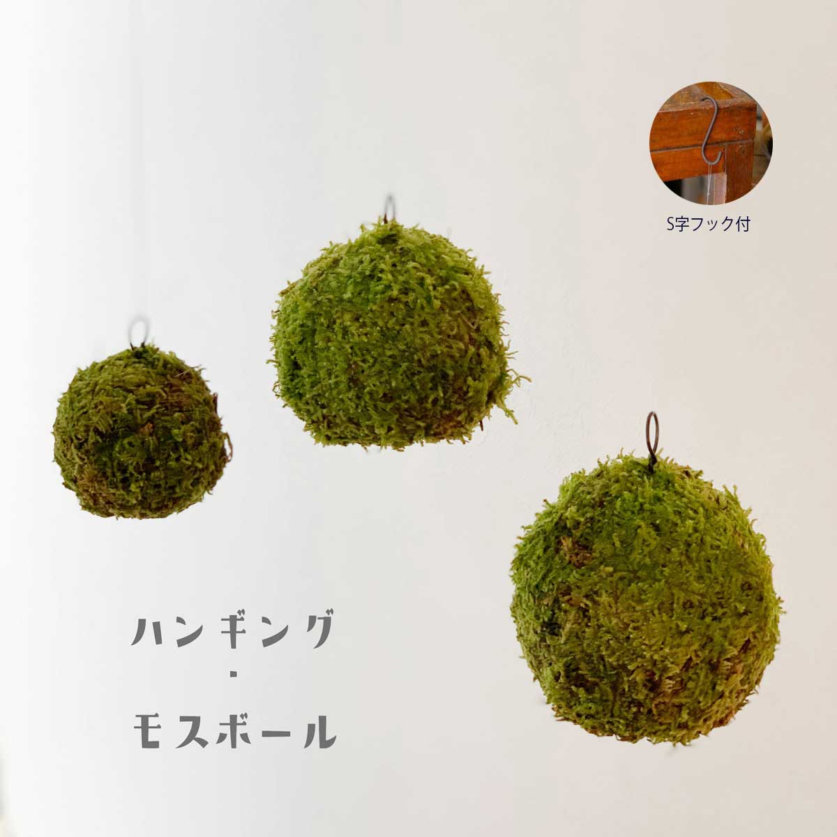 楽天市場 苔玉 つりこけだま モスボール Mサイズ コケボール つるす 吊り下げ苔玉 ハンギング Moss Ball モスボール Mサイズ 真ん中 シンプル ハイゴケ みどり屋 和草 楽天市場店