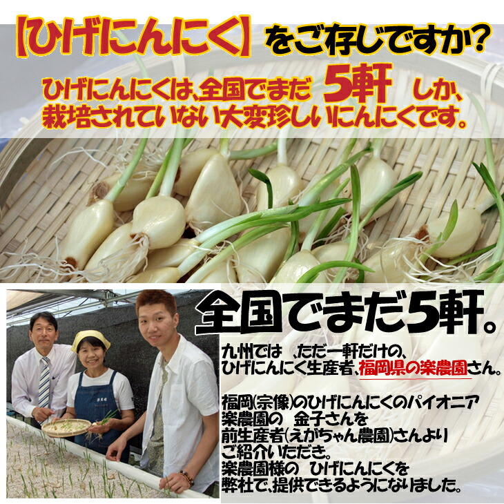 疲労回復サプリメント,国産にんにく,ニンニクサプリ,疲労回復,九州産,佐賀県産,にんにく卵黄