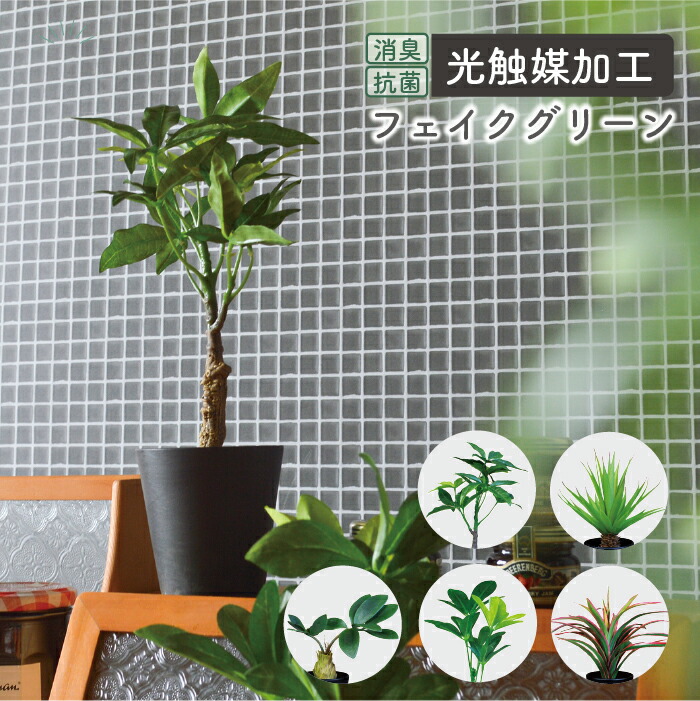 楽天市場】【3点セット】抗菌 消臭 壁掛け ゴールド フェイクグリーン