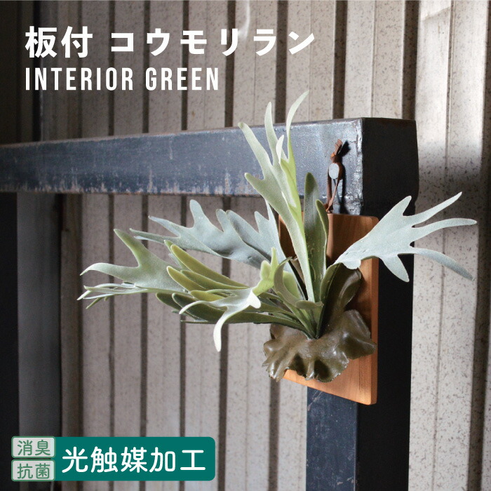 楽天市場】\母の日ギフトに/ 抗菌 消臭 ハーフリース ミモザ 楽天市場】\母の日ギフトに/ 抗菌 消臭 ハーフリース ミモザ