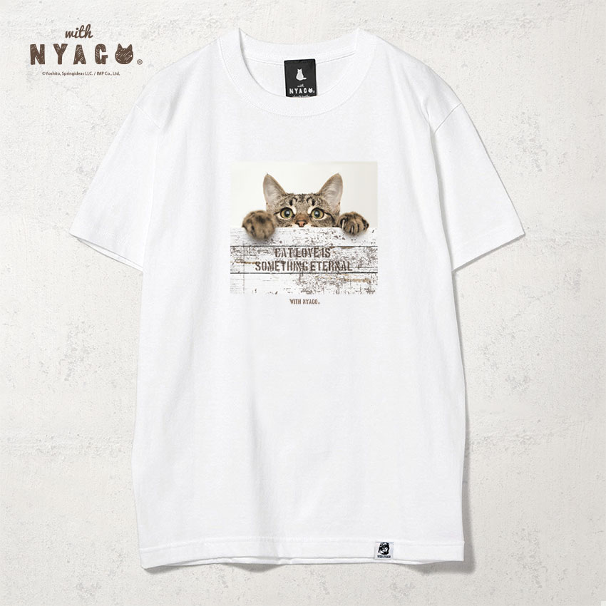 愛猫の写真でTシャツ作成！10分で作れる最新プリント体験と画質クオリティの全貌