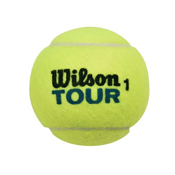 Wilson ウイルソン CHAMPIONSHIP EXTRA DUTY チャンピオンシップエクストラデューティー 1箱 3球入×12缶=36球  WRT100101 テニスボール 【ふるさと割】