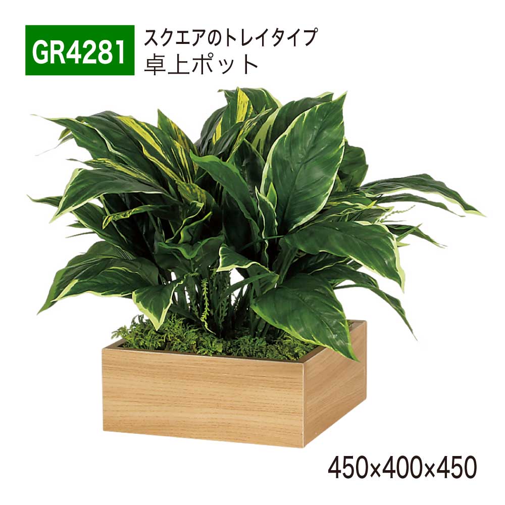 Shop R10s Jp Gold Nowshop Item Greenmode Deskto