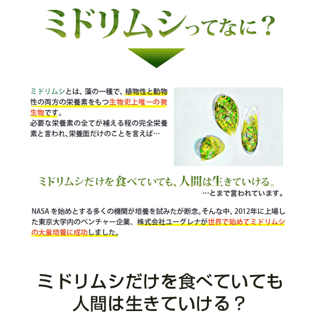 楽天市場 1セット 3箱 バイオザイムゼリー スティックゼリー状の みどりむしサプリメント オブリ ミドリムシ 楽天市場店