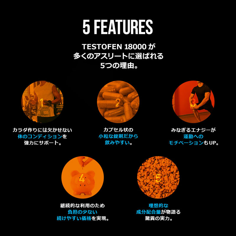 【楽天市場】テストフェン18000 筋肉づくりを強力にサポートするテストステロン系サプリ 送料無料 ※ポスト投函対応していません。：E