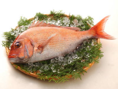 <br>【鮮魚】真鯛〈マダイ〉<br>1匹、2Kg前後