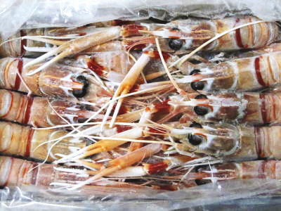 <br>【冷凍】手長海老〈テナガエビ〉<br>1箱、2Kg前後、30～40尾前後