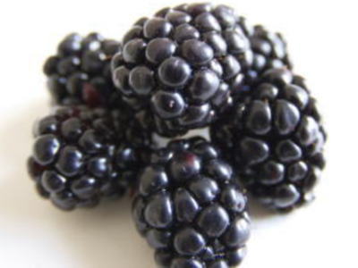 生ブラックベリー1kg➕早期予約10%増量❣️ ご予約承りページ 生ブラックベリー1kg➕早期予約10%増量❣️ ご予約承りページ