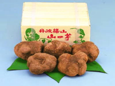 <br>【丹波直品】<br>丹波篠山山の芋<br>優品1.5Kg