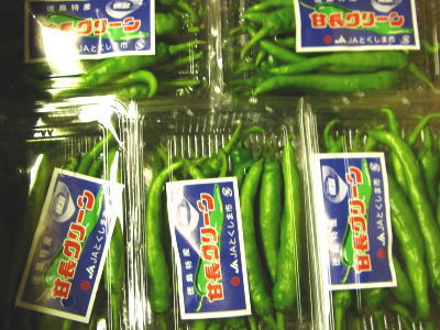 アオトウガラシ F232 楽天市場】輸入青唐辛子〈アオトウガラシ〉別称