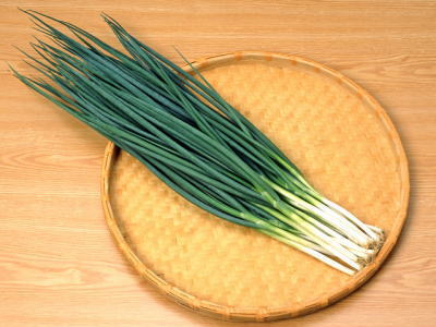 【ながねぎ】 楽天市場】長葱〈ナガネギ〉別称：白葱〈シロネギ〉1本、90g〜200g前後