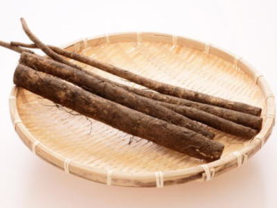 ごぼお購入 ニチノウのタネ 大浦太牛蒡 日本農産種苗 4960599149206 1セット