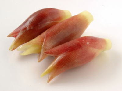 【大ちゃん】みょうが☆茗荷☆４００g☆長崎県産 myouga.jpg