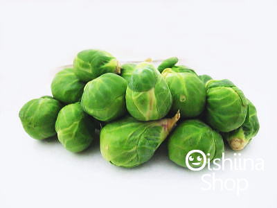 楽天市場】静岡県産 芽キャベツ Lサイズ 約1kg（袋） : 生鮮食品