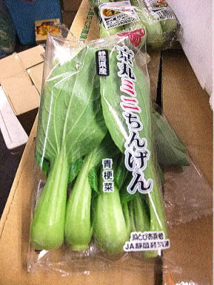 楽天市場】ミニ青梗菜〈ミニチンゲンサイ〉1パック、40g〜60g 楽天市場】ミニ青梗菜〈ミニチンゲンサイ〉1パック、40g〜60g