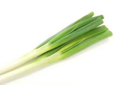 楽天市場】長葱〈ナガネギ〉別称：白葱〈シロネギ〉1ケース、25〜55本
