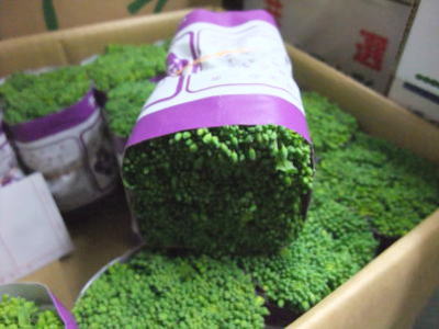 楽天市場 菜の花 ナノハナ 1束 200g前後 築地通販 おいしいなショップ
